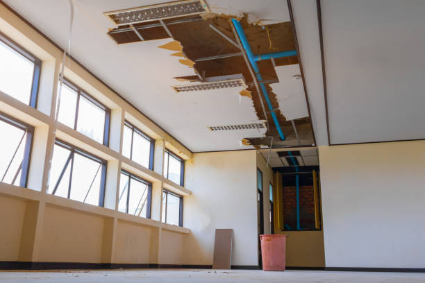 Best Water damage cleanup near me  in Milmay, NJ