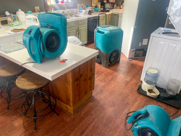 Best Sewage cleanup and water damage restoration  in Milmay, NJ