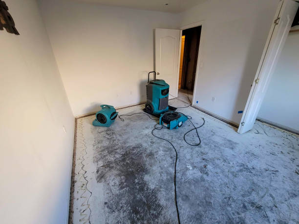 Best Professional water damage repair  in Milmay, NJ
