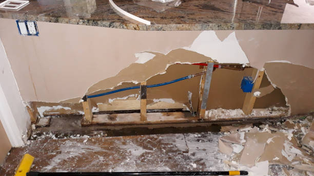 Best Basement water damage restoration  in Milmay, NJ