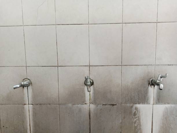 Best Flood restoration services  in Milmay, NJ