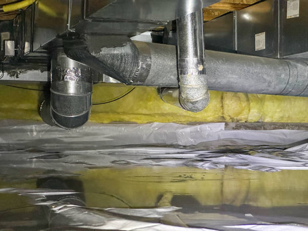 Best Carpet water damage restoration  in Milmay, NJ