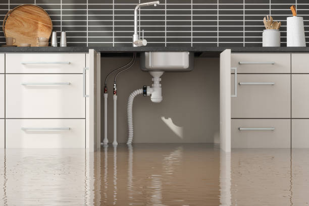 Best Water damage contractors near me  in Milmay, NJ